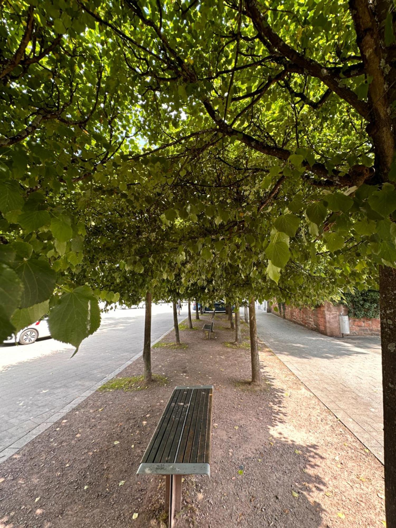Amao-Brown I Exklusives City-Apartment I 85Qm I Privatparkplatz & Komfort I King-Size Bed Lahr  Exterior photo